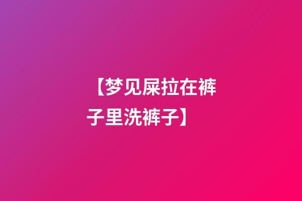 【梦见屎拉在裤子里洗裤子】