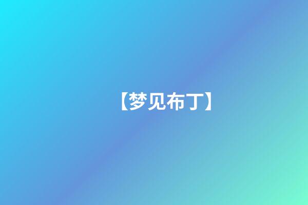 【梦见布丁】