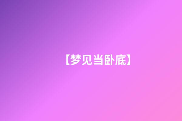 【梦见当卧底】