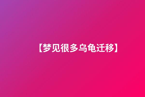 【梦见很多乌龟迁移】