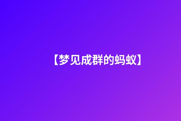 【梦见成群的蚂蚁】