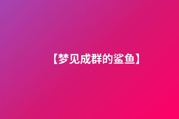 【梦见成群的鲨鱼】