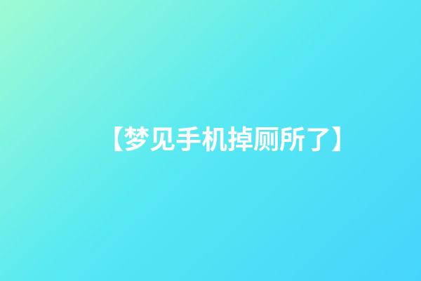 【梦见手机掉厕所了】