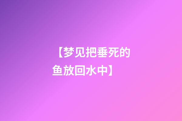【梦见把垂死的鱼放回水中】