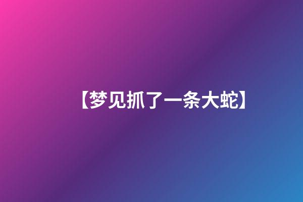 【梦见抓了一条大蛇】