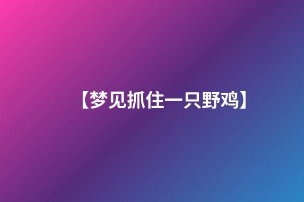 【梦见抓住一只野鸡】