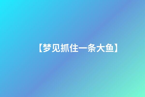 【梦见抓住一条大鱼】