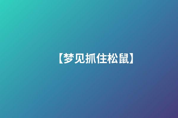 【梦见抓住松鼠】