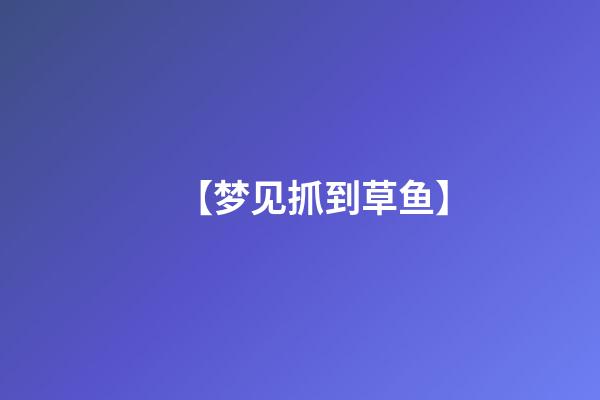 【梦见抓到草鱼】