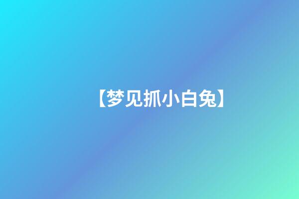 【梦见抓小白兔】
