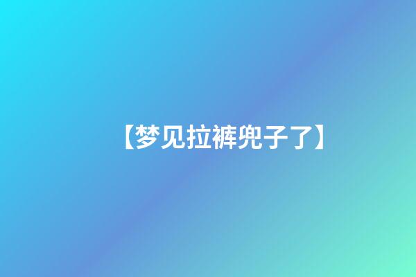 【梦见拉裤兜子了】