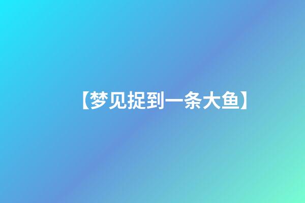 【梦见捉到一条大鱼】