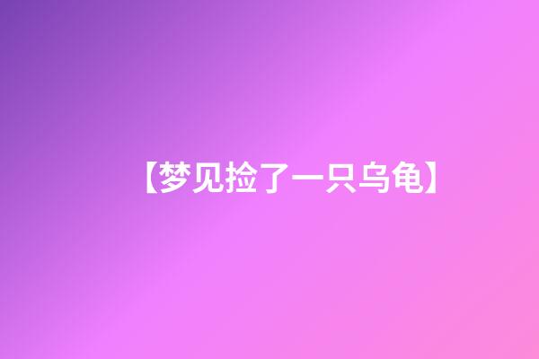 【梦见捡了一只乌龟】