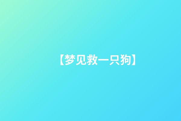 【梦见救一只狗】