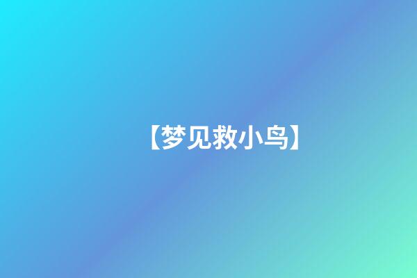 【梦见救小鸟】