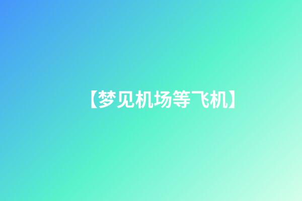 【梦见机场等飞机】