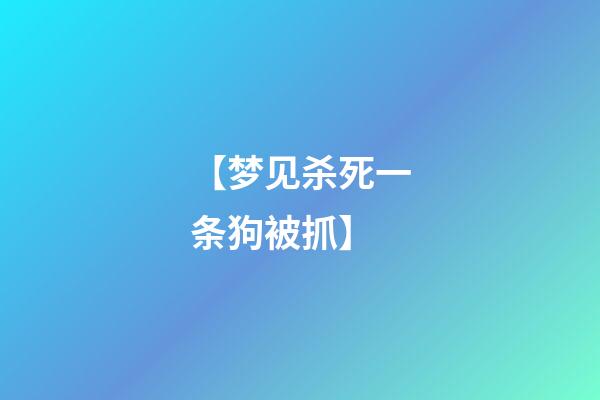 【梦见杀死一条狗被抓】
