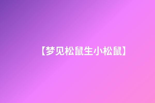 【梦见松鼠生小松鼠】