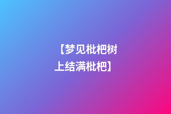 【梦见枇杷树上结满枇杷】