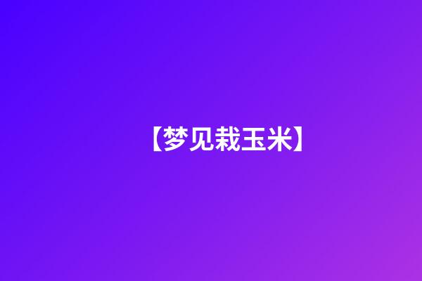 【梦见栽玉米】