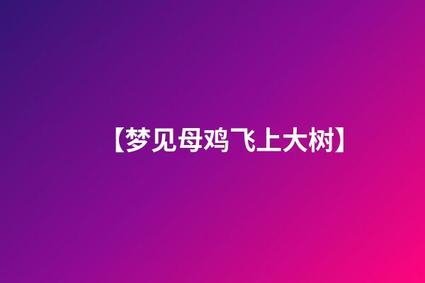 【梦见母鸡飞上大树】