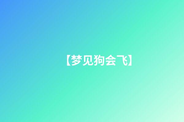 【梦见狗会飞】