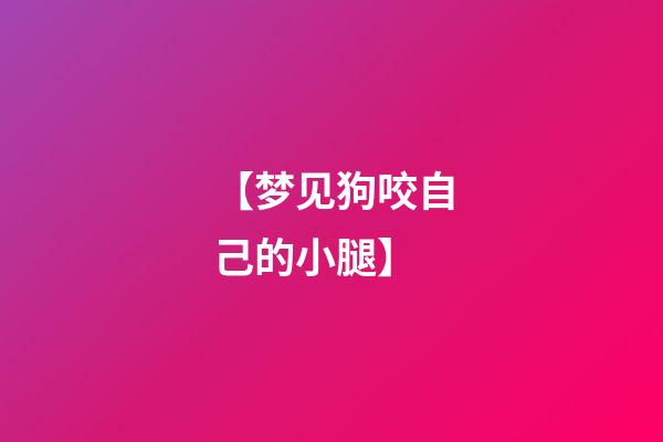 【梦见狗咬自己的小腿】