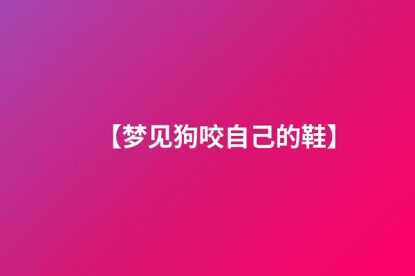 【梦见狗咬自己的鞋】