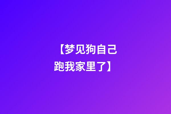 【梦见狗自己跑我家里了】