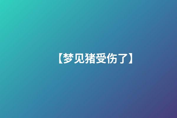 【梦见猪受伤了】