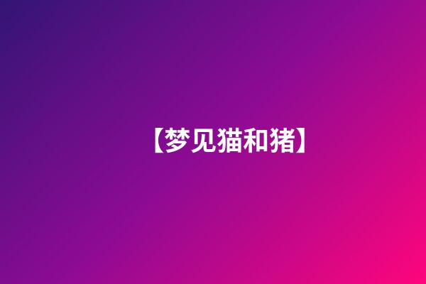 【梦见猫和猪】
