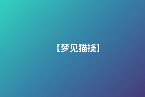 【梦见猫挠】