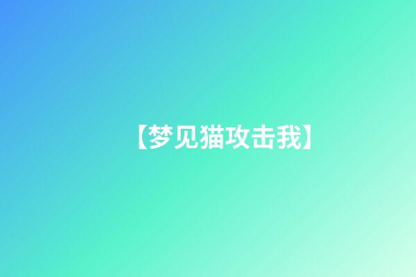 【梦见猫攻击我】