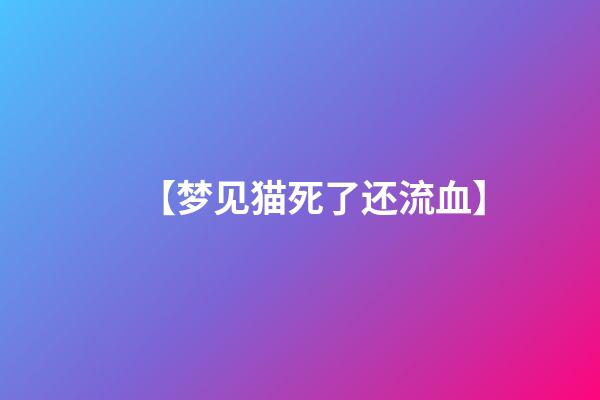 【梦见猫死了还流血】