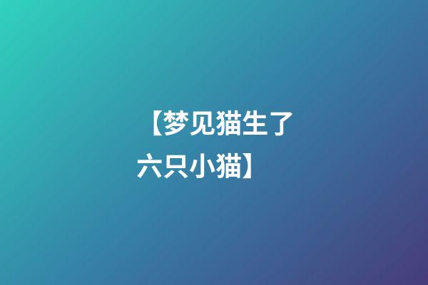 【梦见猫生了六只小猫】
