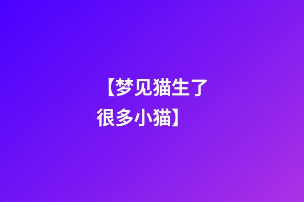 【梦见猫生了很多小猫】