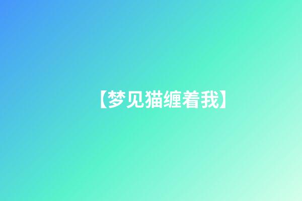 【梦见猫缠着我】