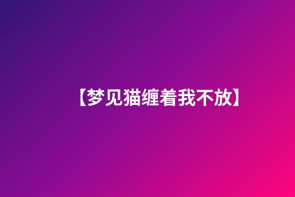 【梦见猫缠着我不放】