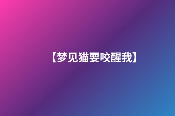 【梦见猫要咬醒我】