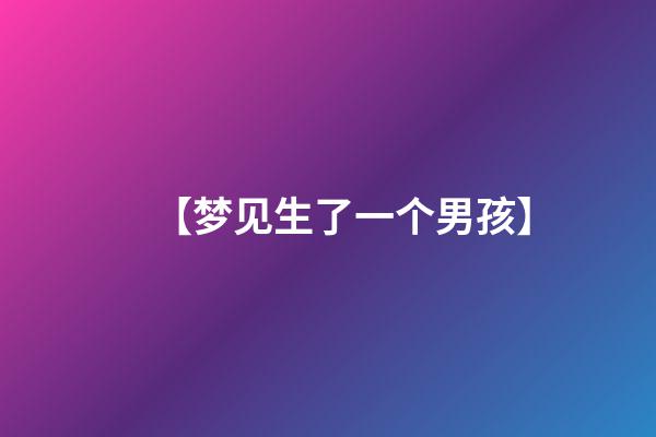 【梦见生了一个男孩】