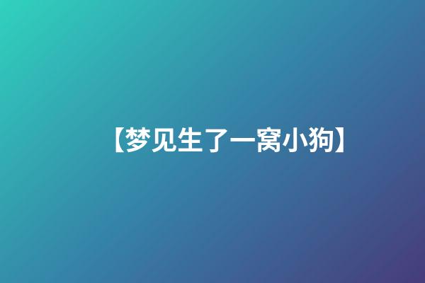 【梦见生了一窝小狗】