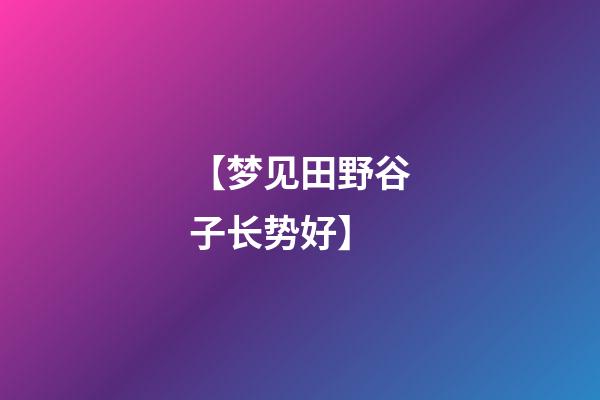 【梦见田野谷子长势好】
