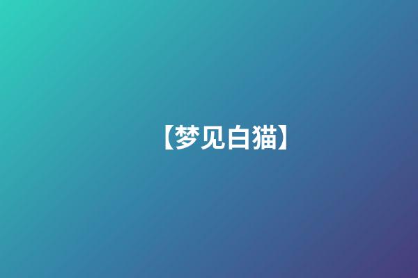 【梦见白猫】