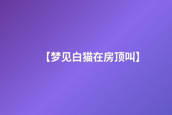 【梦见白猫在房顶叫】