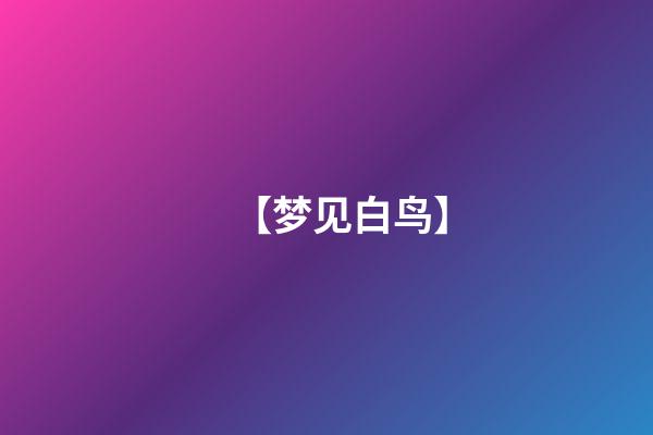【梦见白鸟】