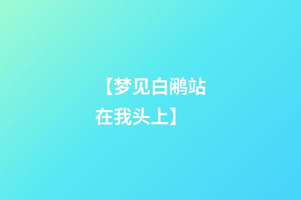 【梦见白鹇站在我头上】