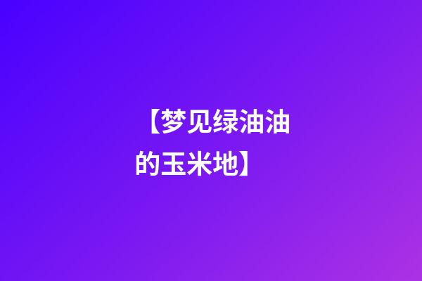 【梦见绿油油的玉米地】