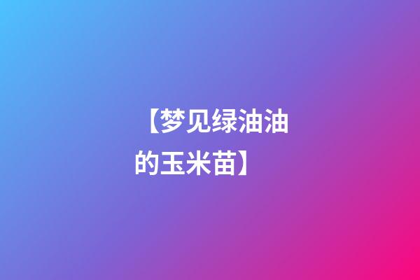 【梦见绿油油的玉米苗】