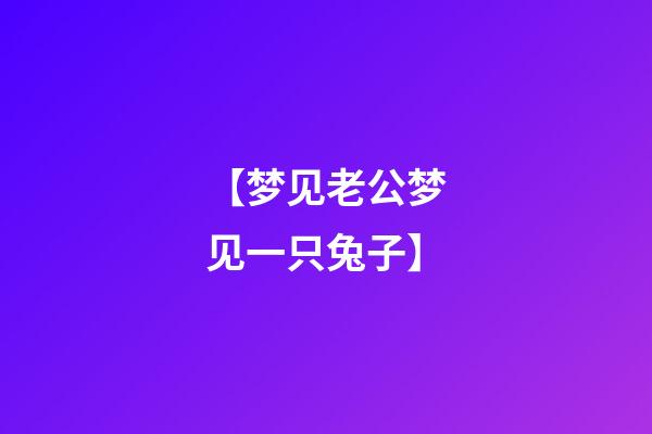 【梦见老公梦见一只兔子】