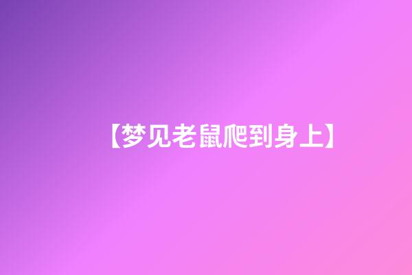 【梦见老鼠爬到身上】